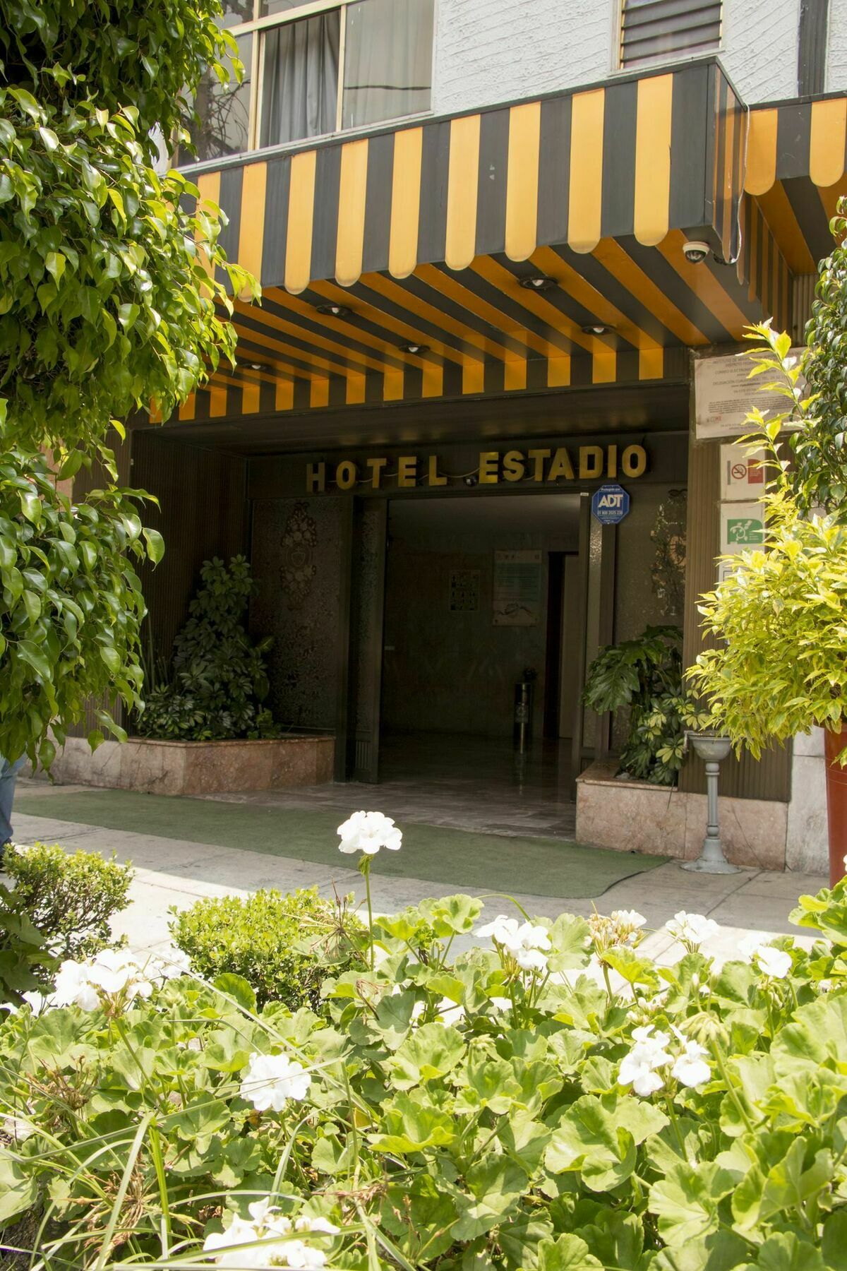 Hotel Estadio S.A مدينة مكسيكو المظهر الخارجي الصورة
